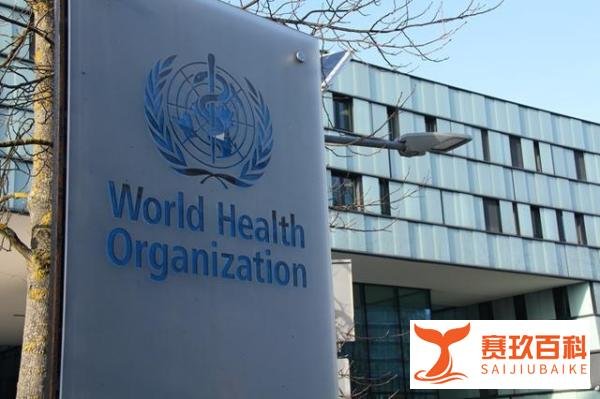 世卫组织将更新口罩使用指南，防护新冠病毒不能仅靠口罩
