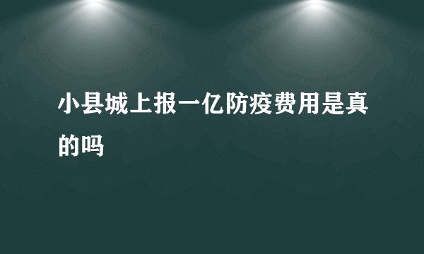 小县城上报一亿防疫费用是真的吗