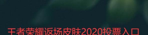 王者荣耀返场皮肤2020投票入口
