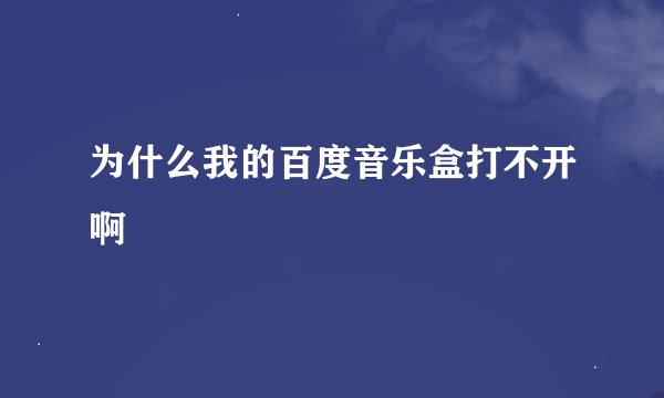 为什么我的百度音乐盒打不开啊
