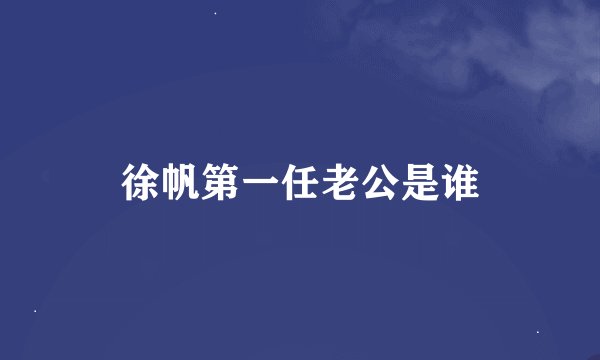 徐帆第一任老公是谁