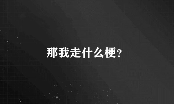 那我走什么梗？