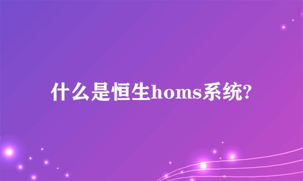 什么是恒生homs系统?