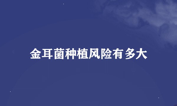 金耳菌种植风险有多大