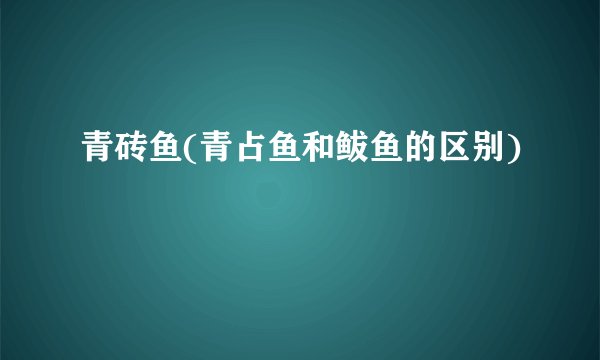 青砖鱼(青占鱼和鲅鱼的区别)
