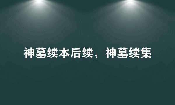 神墓续本后续，神墓续集