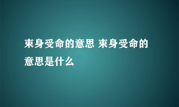 束身受命的意思 束身受命的意思是什么