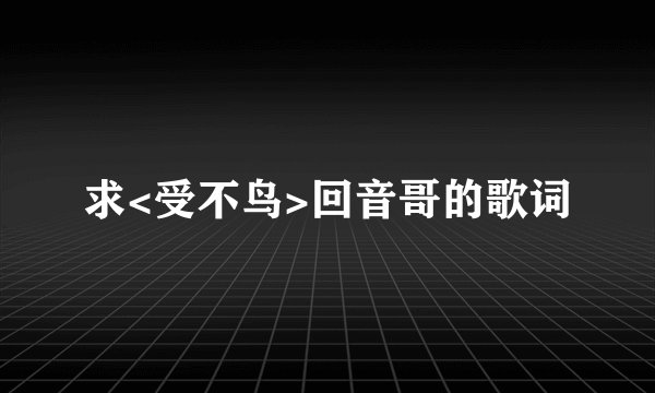 求<受不鸟>回音哥的歌词