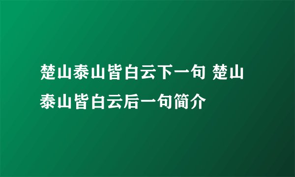 楚山泰山皆白云下一句 楚山泰山皆白云后一句简介