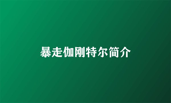 暴走伽刚特尔简介