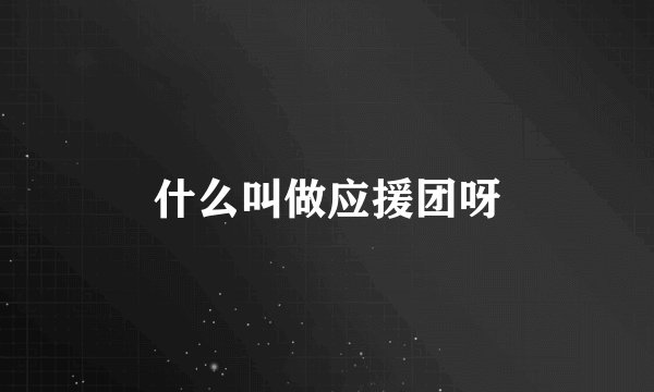 什么叫做应援团呀
