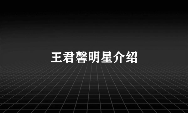 王君馨明星介绍