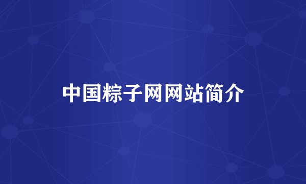 中国粽子网网站简介