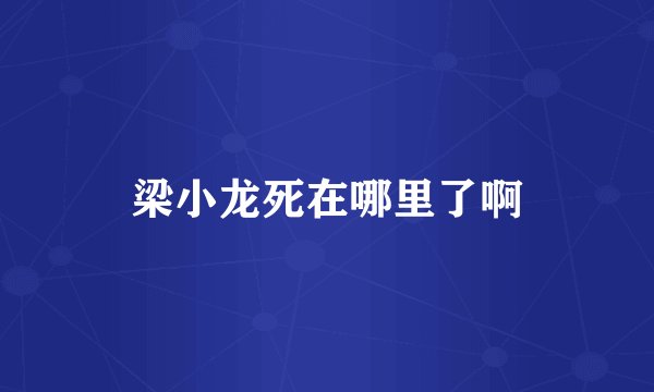 梁小龙死在哪里了啊