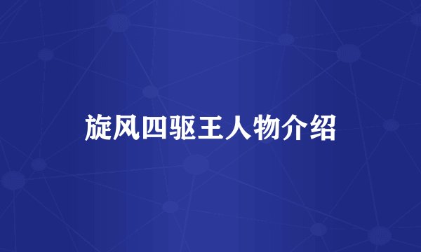 旋风四驱王人物介绍