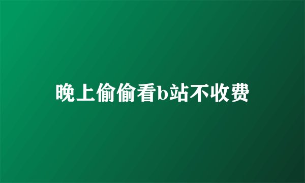 晚上偷偷看b站不收费