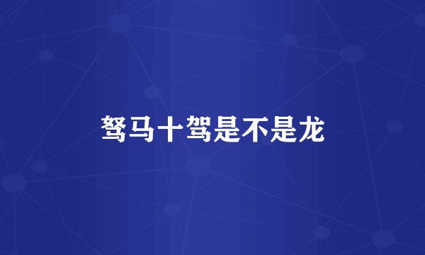 驽马十驾是不是龙