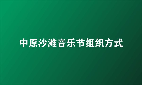 中原沙滩音乐节组织方式