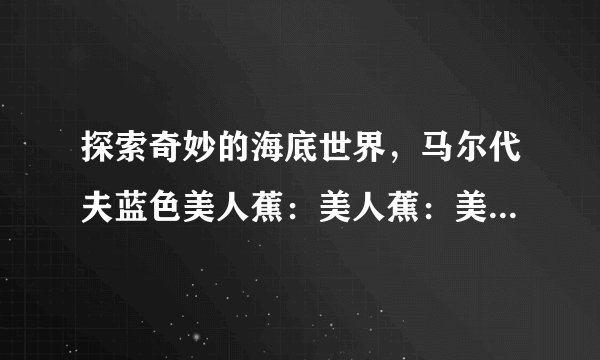 探索奇妙的海底世界,马尔代夫蓝色美人蕉:美人蕉:美人颜色胜芙蕖