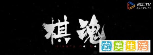 豆瓣8.3，《棋魂》低开高走，口碑炸裂，网友：根本停不下来