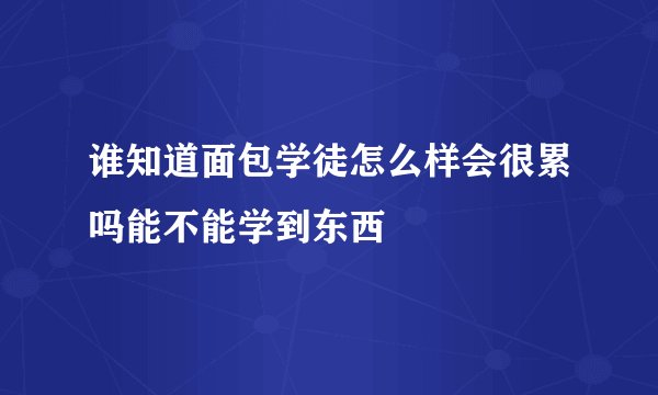 谁知道面包学徒怎么样会很累吗能不能学到东西