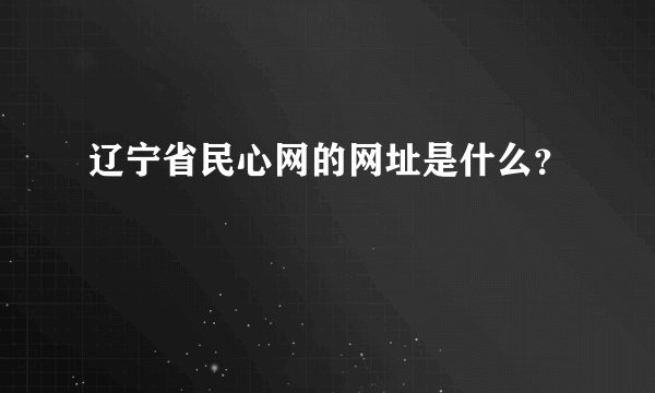 辽宁省民心网的网址是什么？