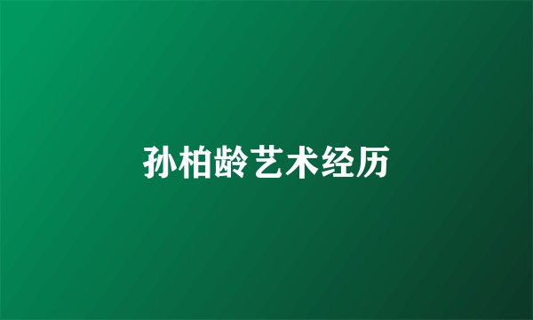 孙柏龄艺术经历