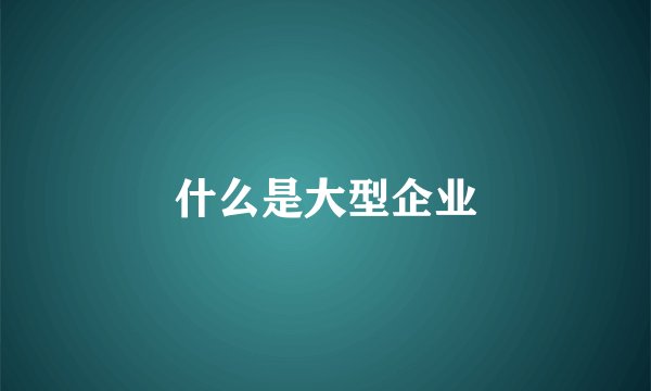 什么是大型企业