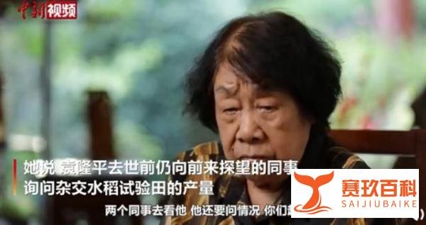 袁隆平临终前才讲退休 这是咋情况？
