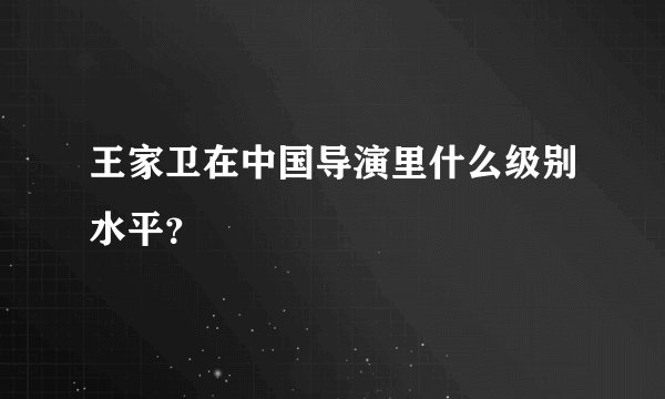 王家卫在中国导演里什么级别水平？