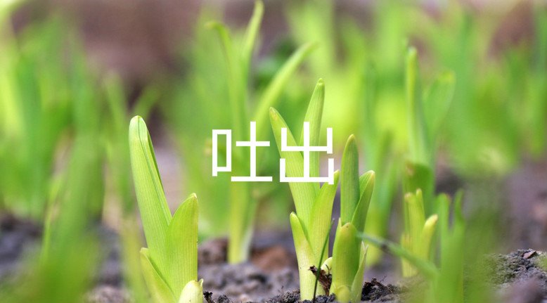 吐出的拼音是什么？