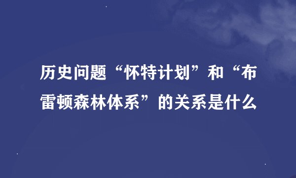 历史问题“怀特计划”和“布雷顿森林体系”的关系是什么