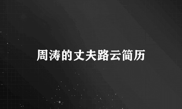 周涛的丈夫路云简历