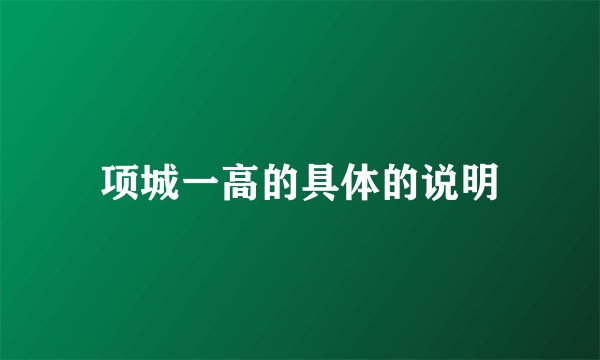 项城一高的具体的说明