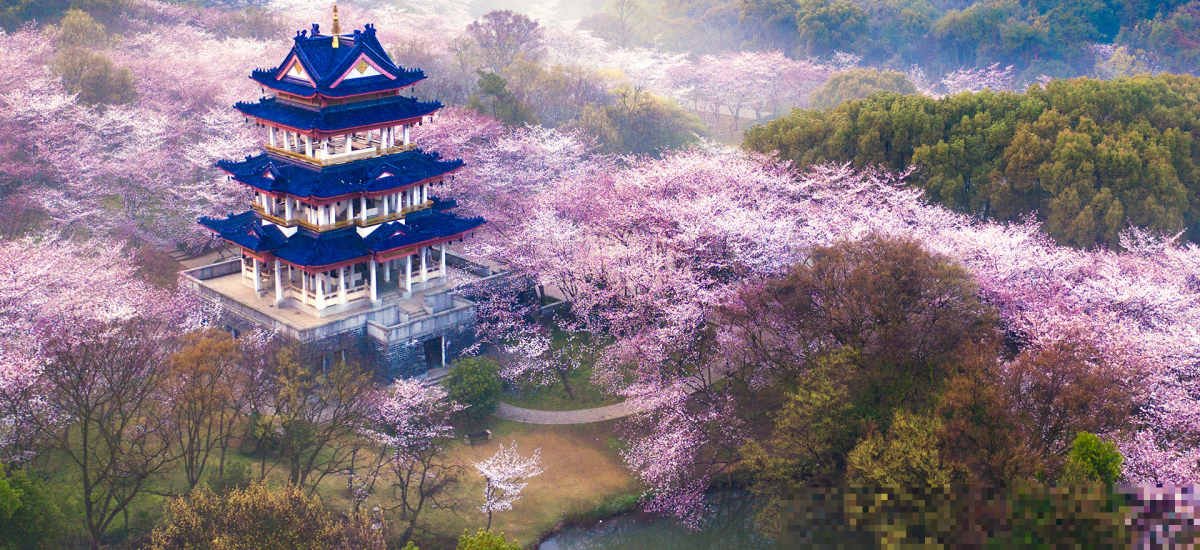 无锡景区鼋头渚门票多少钱