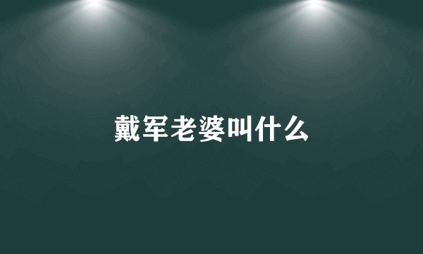 戴军老婆叫什么