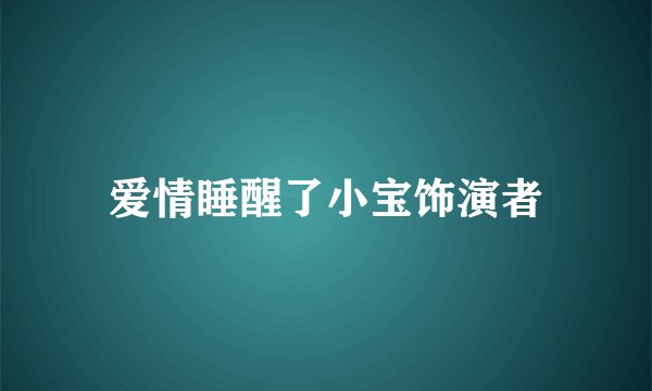 爱情睡醒了小宝饰演者