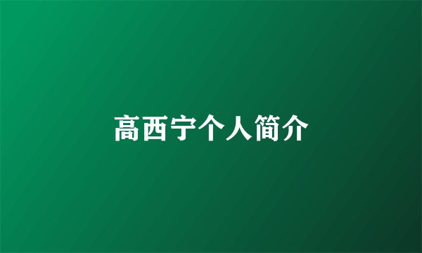 高西宁个人简介