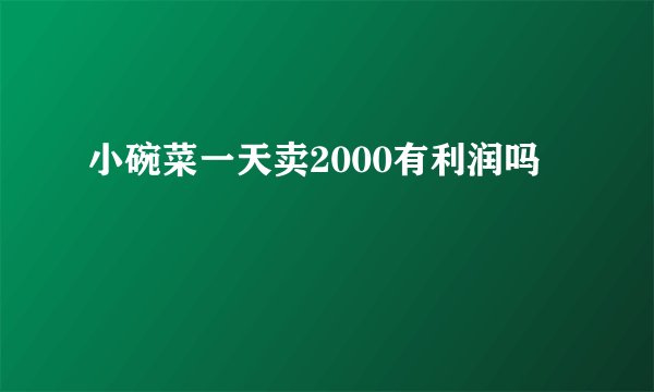小碗菜一天卖2000有利润吗