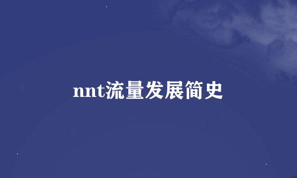 nnt流量发展简史