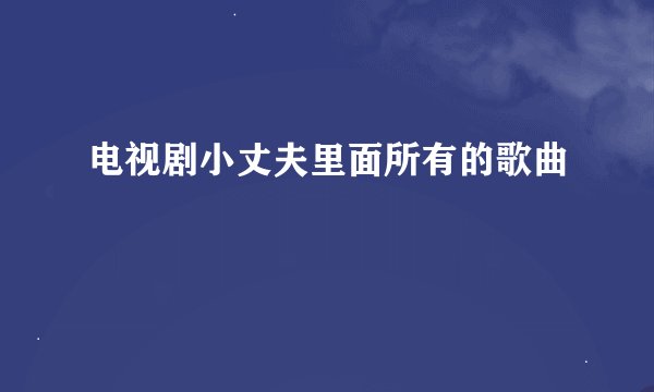 电视剧小丈夫里面所有的歌曲