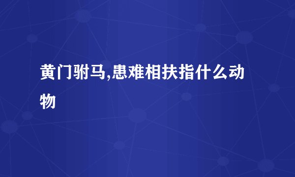 黄门驸马,患难相扶指什么动物