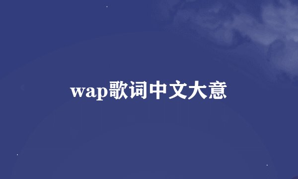 wap歌词中文大意