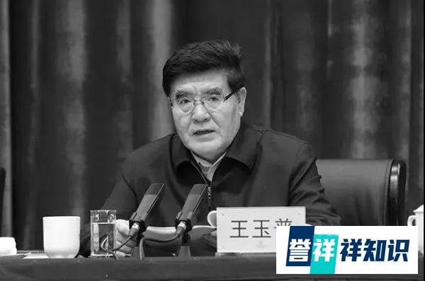 应急管理部部长王玉普逝世