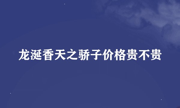 龙涎香天之骄子价格贵不贵