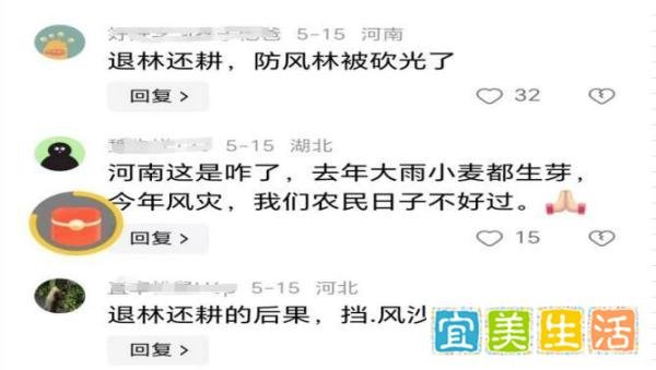 河南小麦倒伏，更多的应当是理解而不是指责