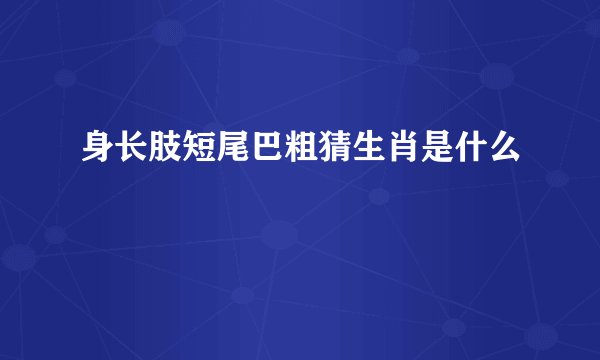 身长肢短尾巴粗猜生肖是什么