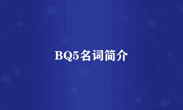 BQ5名词简介