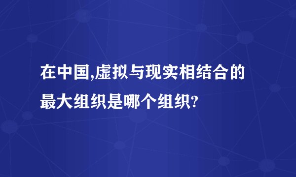 在中国,虚拟与现实相结合的最大组织是哪个组织?