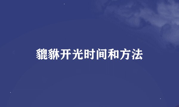 貔貅开光时间和方法